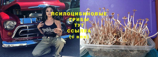 шишки Абдулино