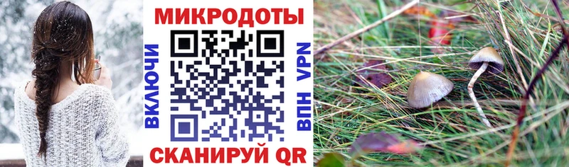 Галлюциногенные грибы Psilocybe  Каменка 